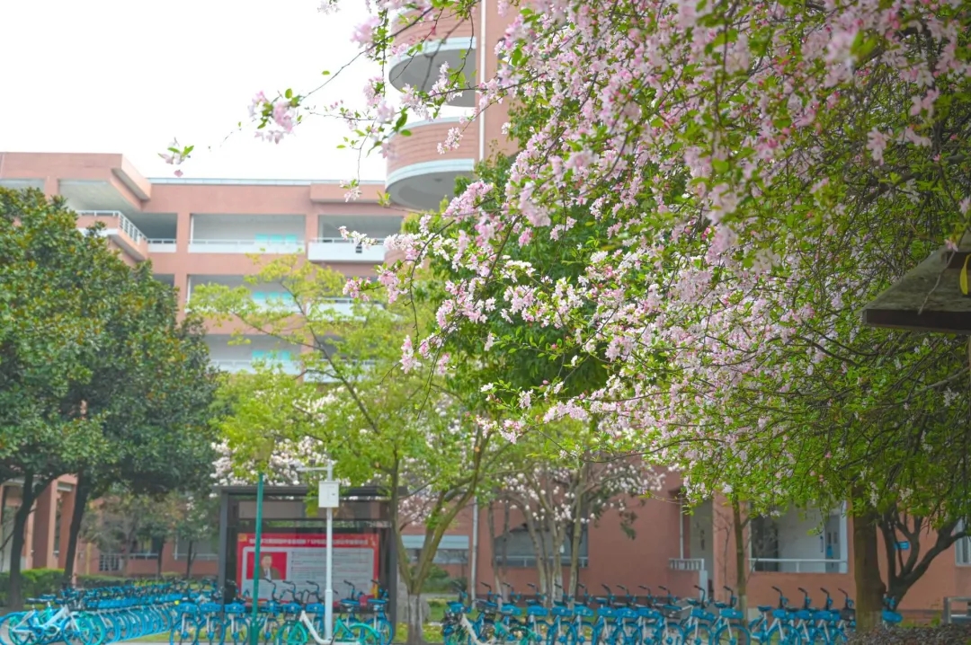 伟德国际1946源于英国